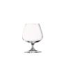 Brandy Cognac Arcoroc verre de dégustation cl 15