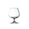 Arcoroc Brandy Cognac Verre à dégustation cl 41