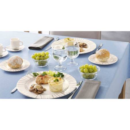 Amelia Arcoroc verre cl 19