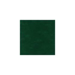 Pack Service mantel de Airspun 100 x 100 cm verde