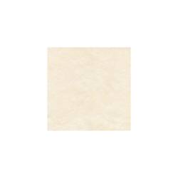 Airspun Pack Service tablecloth 100 x 100 cm cream