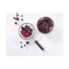 Cuve conique en acier inoxydable lt 11