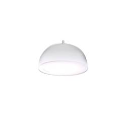 Dôme pour élévateur en plexiglas 23 cm