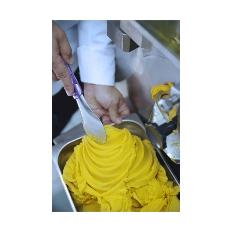 Espátula para helados de acero inoxidable con mango de tritán rojo cm 26