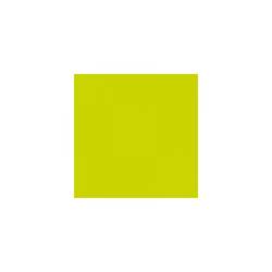 Duni DuniSoft kiwi Serviette cm 40x40