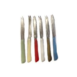 Couteau à agrumes en acier inoxydable à deux pointes avec manche, couleurs assorties cm 21,5