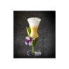 Verre Sour 100% Chef en verre borosilicaté cl 10