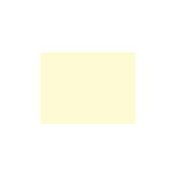 Set de table Duni en papier champagne 35x45 cm