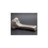 Plaque d'os 100% Chef en porcelaine blanche 25x10 cm