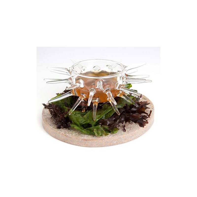 Coupe Sea 100% Chef en verre borosilicaté cl 12,5