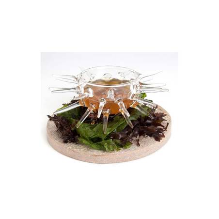 Coupe Sea 100% Chef en verre borosilicaté cl 12,5