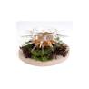 Coupe Sea 100% Chef en verre borosilicaté cl 12,5
