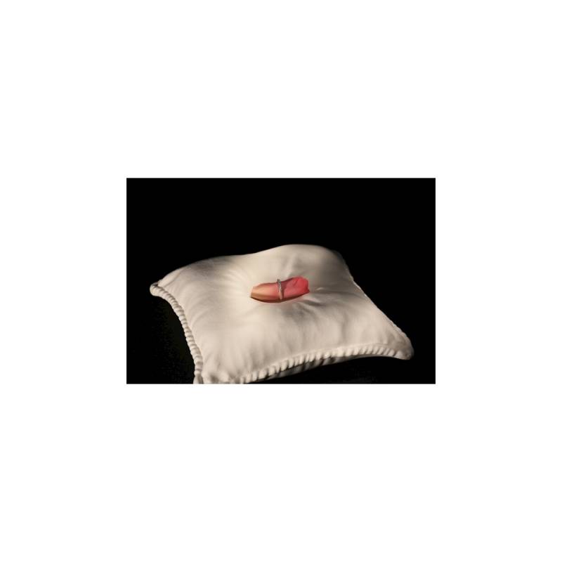 Almohada 100% Chef de porcelana blanca 24x24 cm
