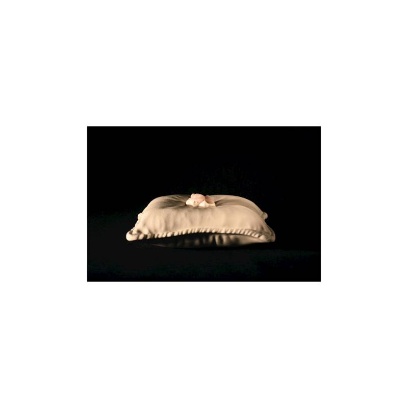 100% Coussin de chef en porcelaine blanche 24x24 cm