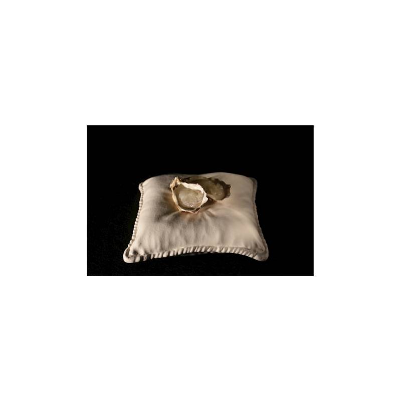 Almohada 100% Chef de porcelana blanca 24x24 cm