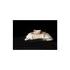 100% Coussin de chef en porcelaine blanche 24x24 cm