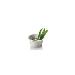 Gobelet rond biodégradable pour pulpe cl 6