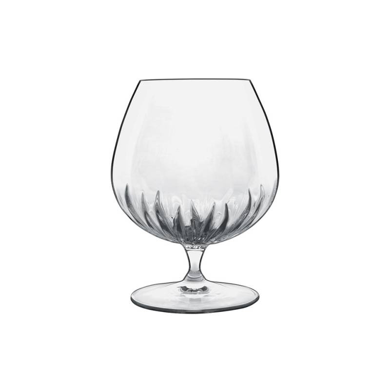 Bormioli Luigi Mixology Copa de coñac en vidrio transparente cl 46.5