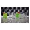 Verre dof Tattoo RCR verre décoré cl 33,7