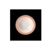Rio Steelite Bol Performance de cerámica vitrificada blanca con banda rosa cm 16,5