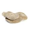 Carpaccio Wood XL 100% Plato Chef de porcelana marrón 27x21 cm