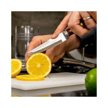 Cuchillo para cítricos Coley Urban Bar de acero con mango de madera cm 21