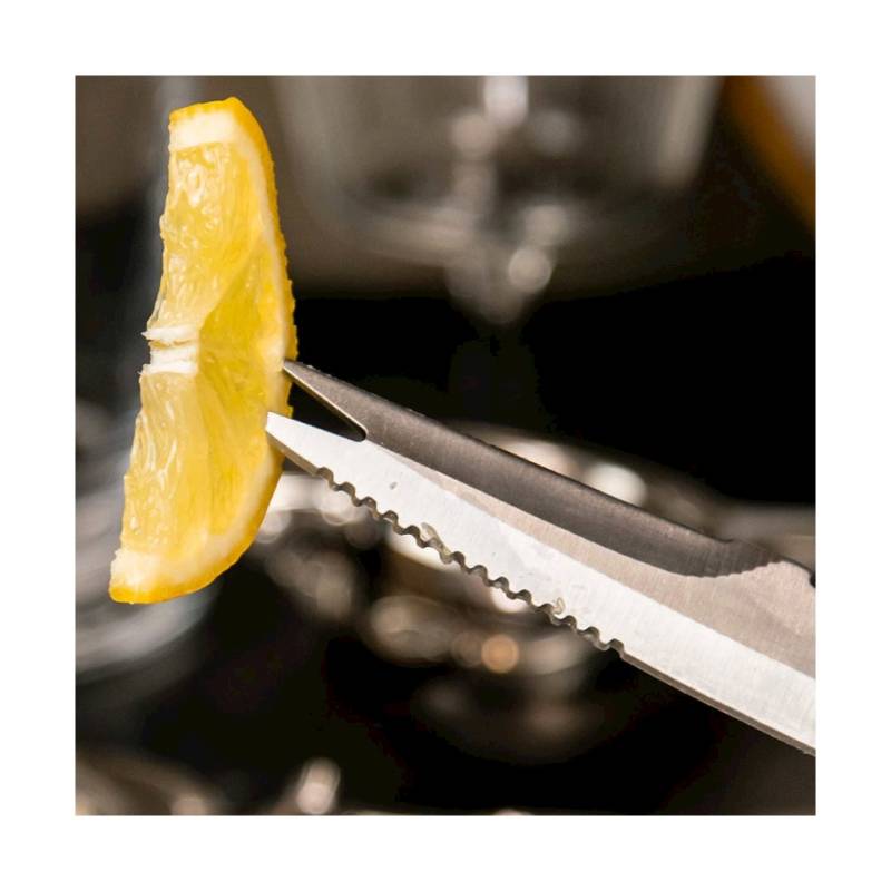 Cuchillo para cítricos Coley Urban Bar de acero con mango de madera cm 21