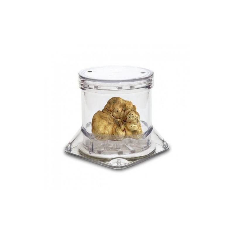 Sanelli Ambrogio boîte à truffes Tuberpack en acrylique transparent 7,8 cm