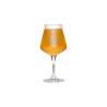 Teku beer tasting glass cl 33
