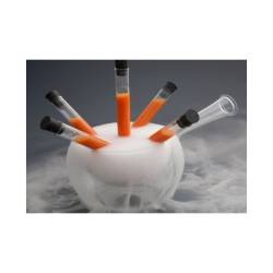 Nitro Bowl 100% Chef en vidrio borosilicato lt 1