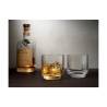 Copa de whisky Big Top Nude cl 32