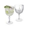 Copa de gin-tonic Broadway cl 58