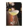 Verre à champagne Broadway cl 25