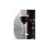 Nick and Nora Rona goblet glass cl 16