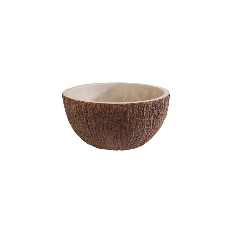 Noix de coco en béton tasse lt 1
