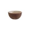 Noix de coco en béton tasse lt 1