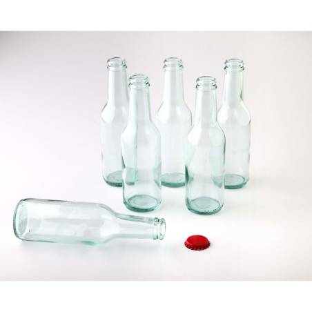 Gin Tonic 100% Chef Botella en vidrio cl 20