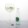 Gin Tonic 100% Chef Botella en vidrio cl 20