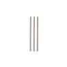 Pailles en bambou naturel 23x0,8 cm