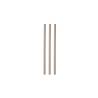 Pailles en bambou naturel 23x0,6 cm