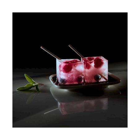 Molde de silicona negro para cubitos de hielo 4x4 cm