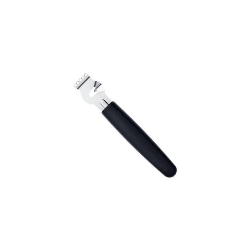 Reglas de acero inoxidable y polipropileno 14,6 cm
