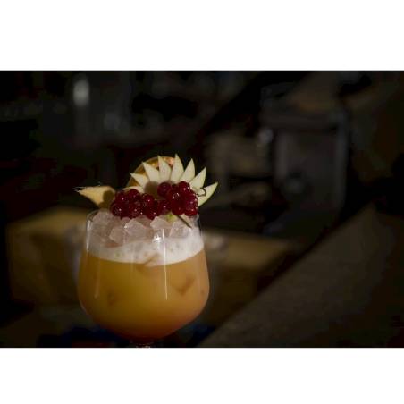 Jener copa de gin tonic en tritan transparente cl 75