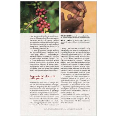 Le guide du café du barista curieux par Tristan Stephenson