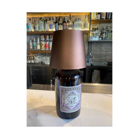 Abat-jour LED rechargeable One Light bronze