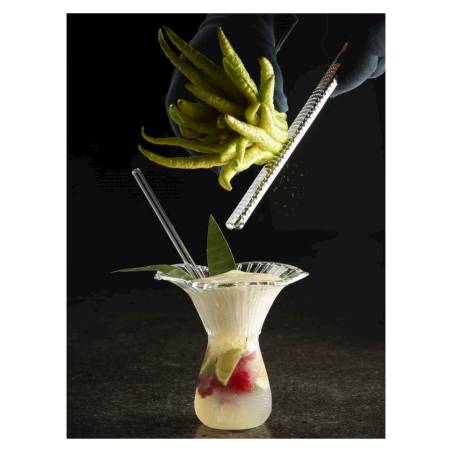 Lactarius 100% Chef verre borosilicate cl 15