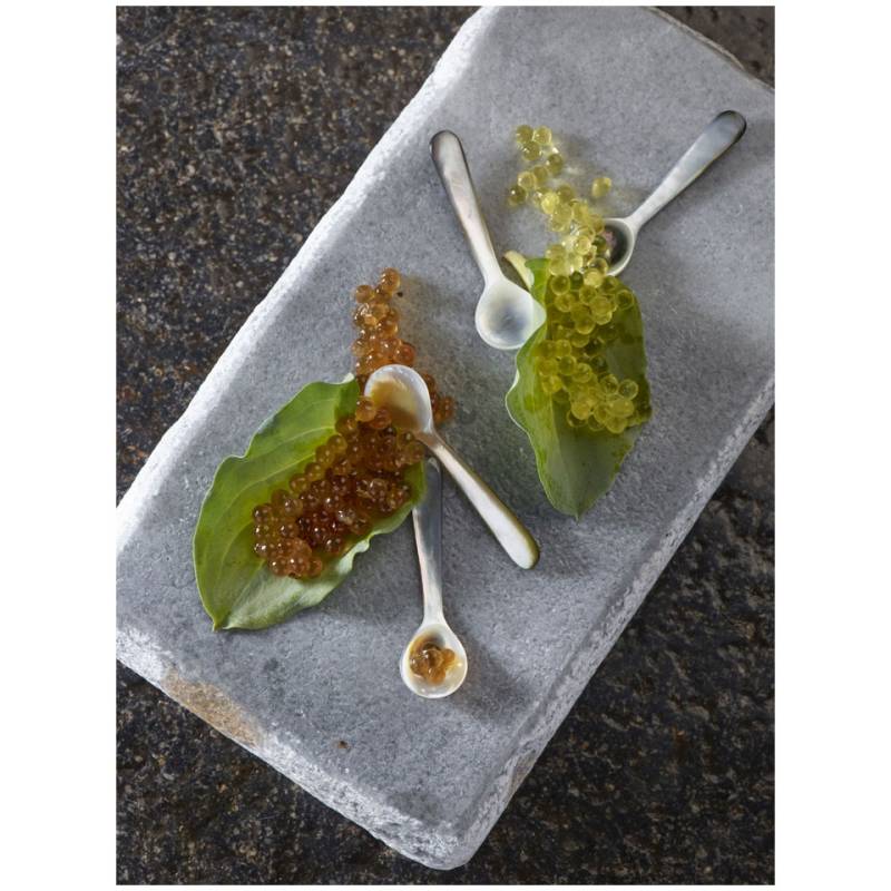 Assiette de chef en granit double face 100% 22.5x12.5 cm
