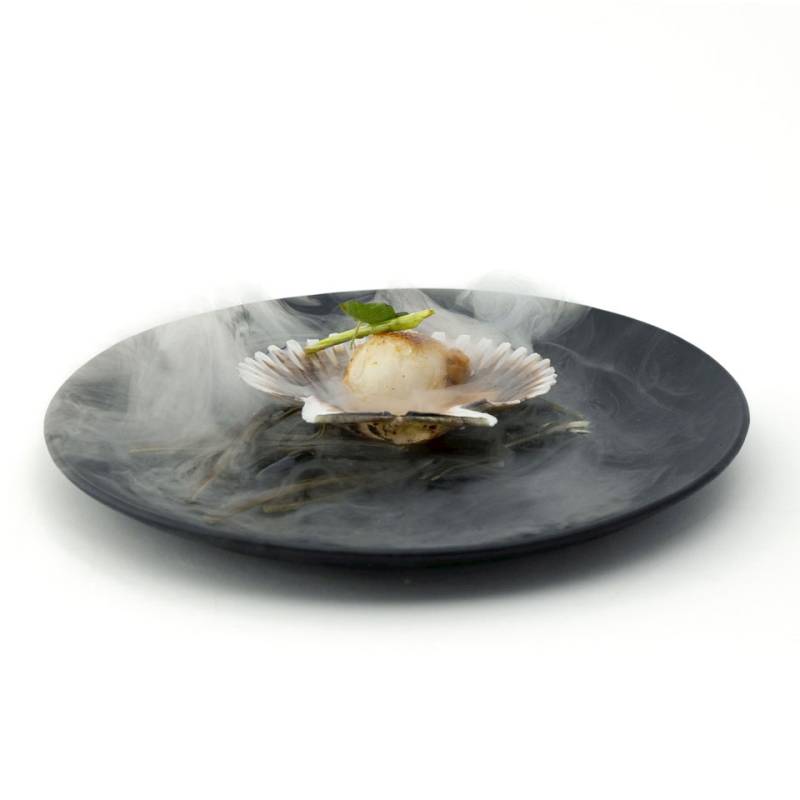 Plaque d'ébullition XL 100% Chef en verre opale noir cm 26