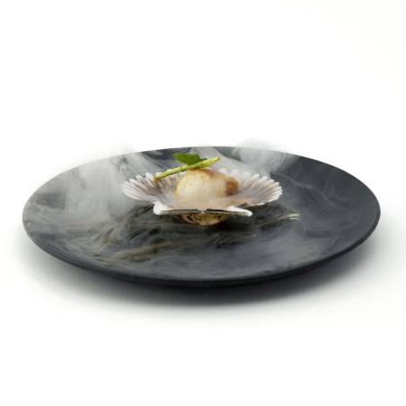 Plaque d'ébullition XL 100% Chef en verre opale noir cm 26