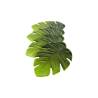 Set de table Eva en pvc vert en forme de feuille cm 37x47